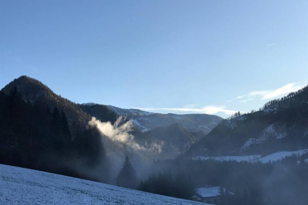 Bergchalet Хинтерстодер Экстерьер фото