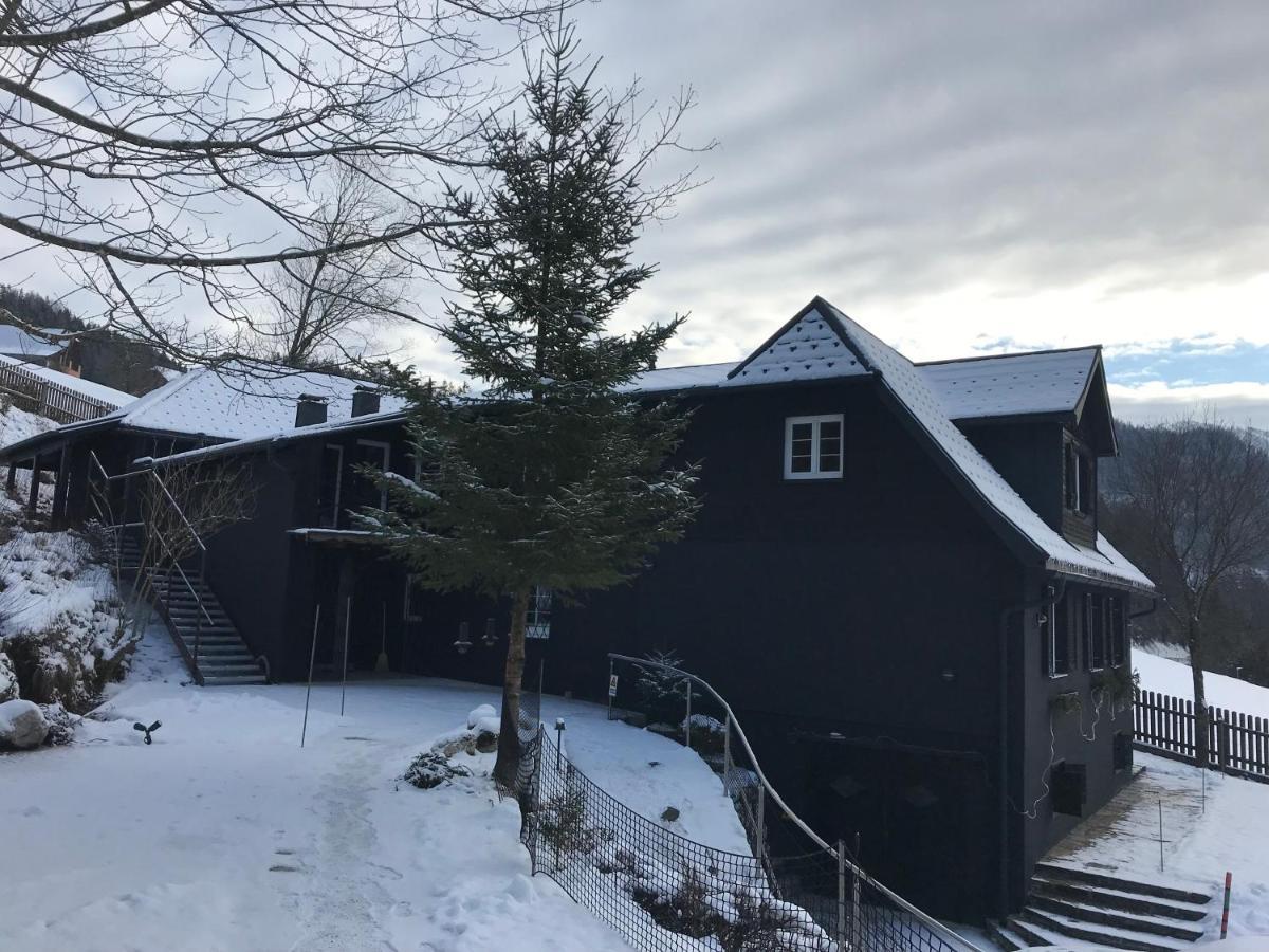 Bergchalet Хинтерстодер Экстерьер фото